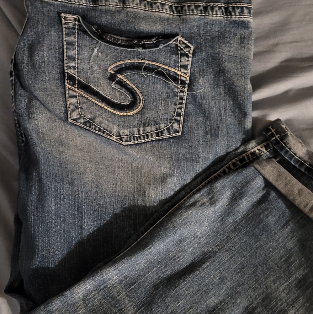 Silver Capris plus size 24